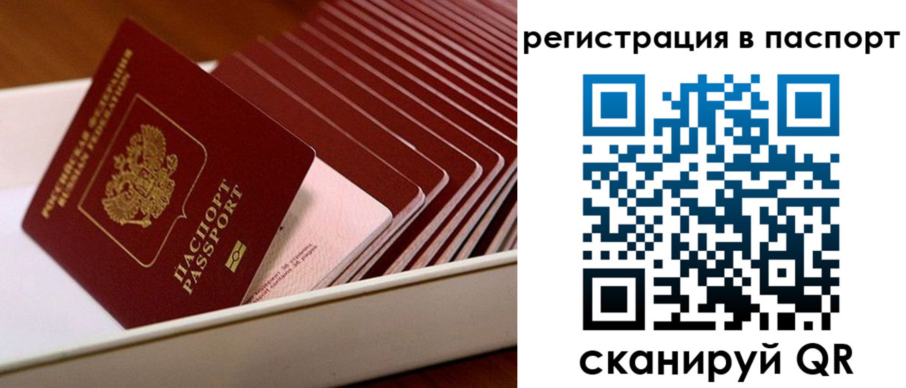 форма 3 в Снежногорске