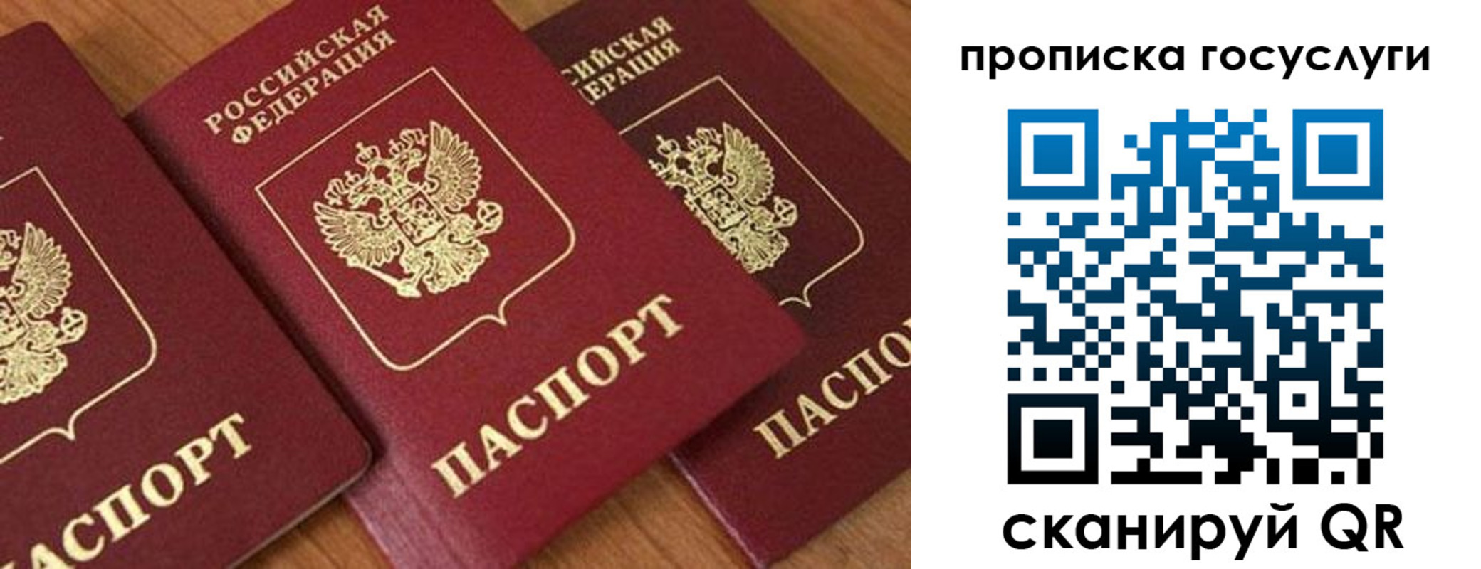 временная прописка в Снежногорске